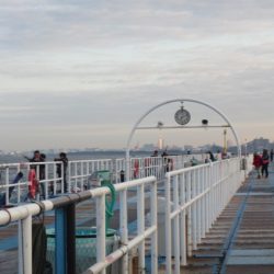 オリジナルメーカー海づり公園(市原市海づり施設) 釣果