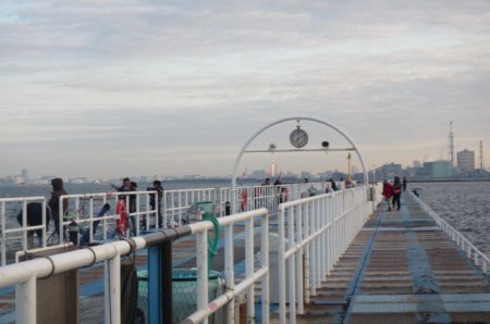 オリジナルメーカー海づり公園(市原市海づり施設) 釣果