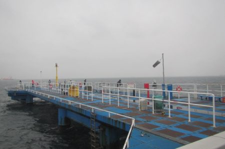 オリジナルメーカー海づり公園(市原市海づり施設) 釣果