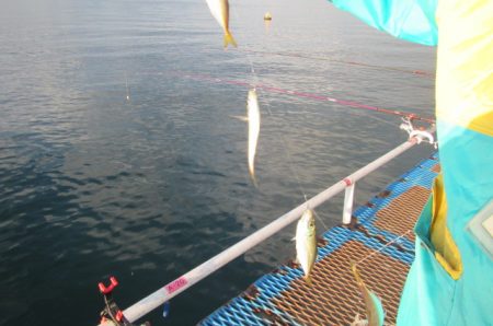 オリジナルメーカー海づり公園(市原市海づり…