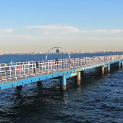 オリジナルメーカー海づり公園(市原市海づり施設) 釣果