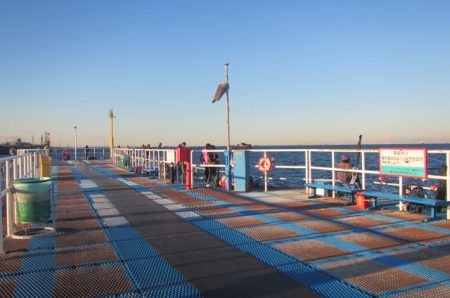 オリジナルメーカー海づり公園(市原市海づり施設) 釣果