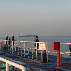 オリジナルメーカー海づり公園(市原市海づり施設) 釣果