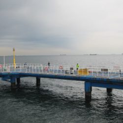 オリジナルメーカー海づり公園(市原市海づり施設) 釣果