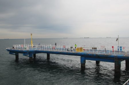 オリジナルメーカー海づり公園(市原市海づり施設) 釣果