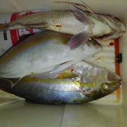 遊漁船 新鋭丸 釣果