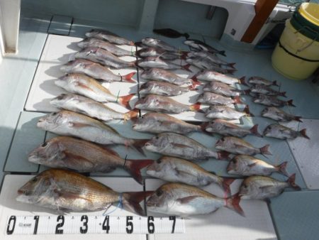 遊漁船 幸友丸 釣果