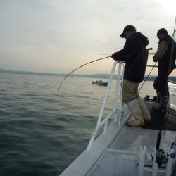 浅間丸 釣果