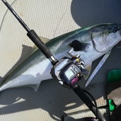 IDATEN（イダテン） 釣果