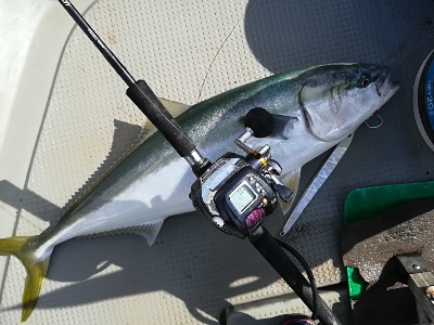 IDATEN（イダテン） 釣果