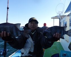 久里浜黒川本家 釣果