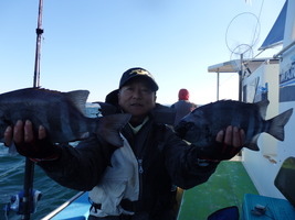 久里浜黒川本家 釣果