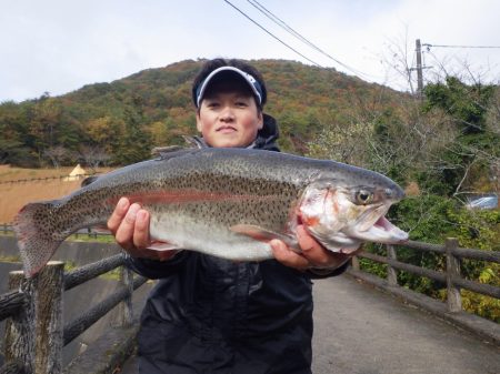 フィッシングレイクたかみや 釣果