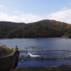 フィッシングレイクたかみや 釣果
