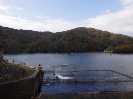 フィッシングレイクたかみや 釣果