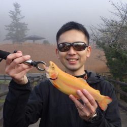 フィッシングレイクたかみや 釣果