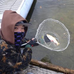 フィッシングレイクたかみや 釣果