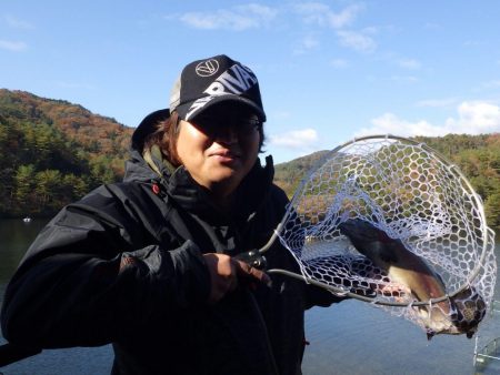 フィッシングレイクたかみや 釣果