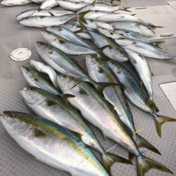 ミタチ丸 釣果