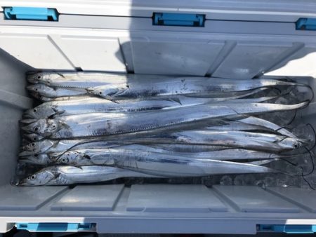 遊漁船高橋 釣果