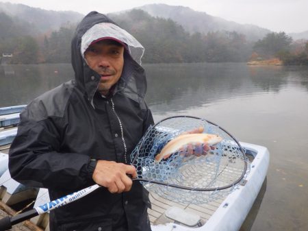 フィッシングレイクたかみや 釣果