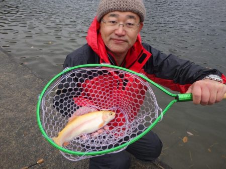 フィッシングレイクたかみや 釣果