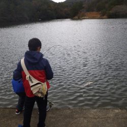 フィッシングレイクたかみや 釣果