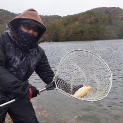 フィッシングレイクたかみや 釣果