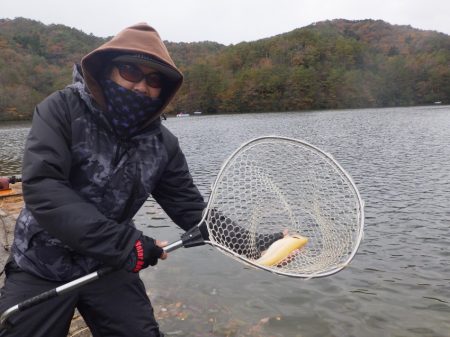 フィッシングレイクたかみや 釣果