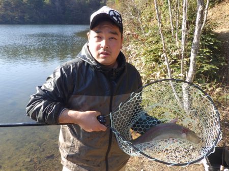 フィッシングレイクたかみや 釣果