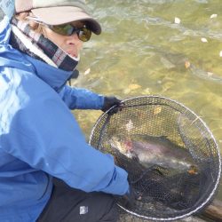 フィッシングレイクたかみや 釣果