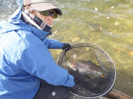 フィッシングレイクたかみや 釣果