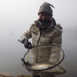 フィッシングレイクたかみや 釣果