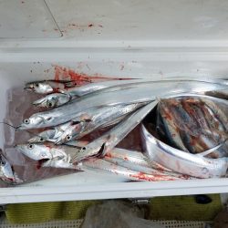 遊漁船　ニライカナイ 釣果