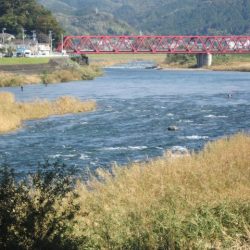 狩野川(狩野川漁業協同組合) 釣果