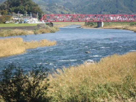 狩野川(狩野川漁業協同組合) 釣果