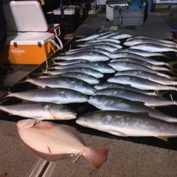 幸風（さちかぜ） 釣果