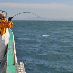 八海丸 釣果