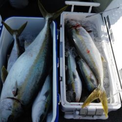 第二大福丸 釣果