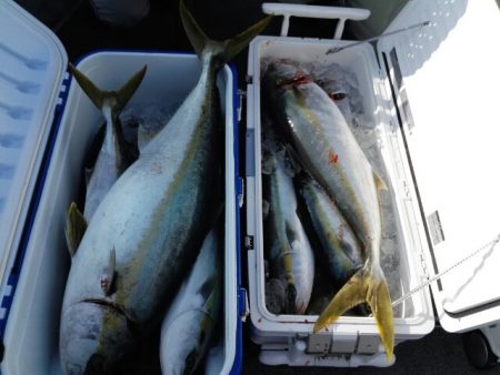 第二大福丸 釣果