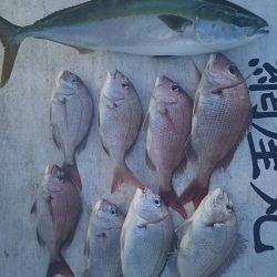 網屋丸 釣果