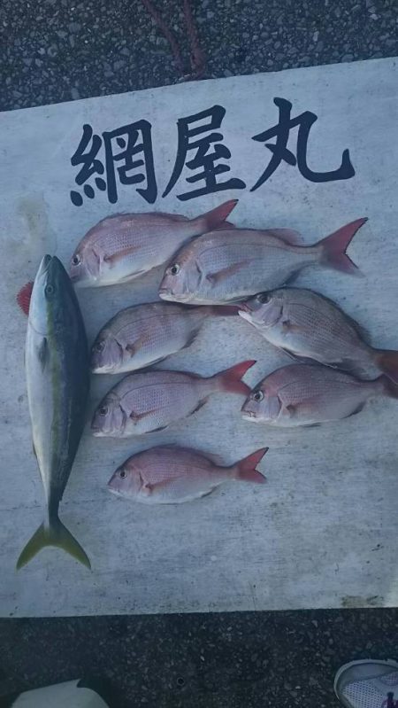 網屋丸 釣果