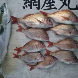 網屋丸 釣果