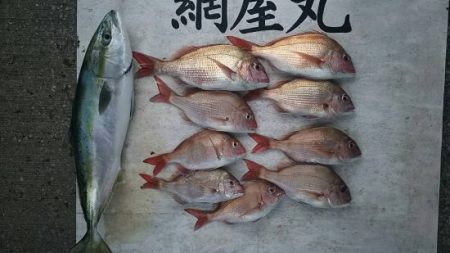 網屋丸 釣果