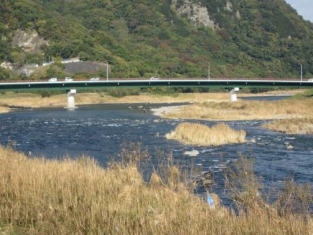狩野川(狩野川漁業協同組合) 釣果
