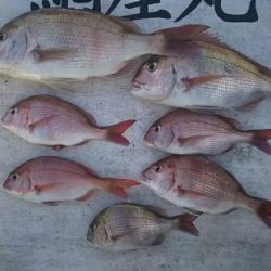 網屋丸 釣果