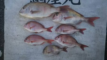 網屋丸 釣果