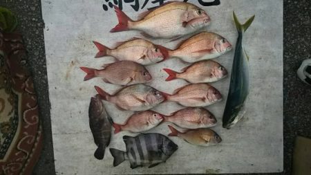 網屋丸 釣果