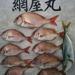 網屋丸 釣果