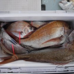 遊漁船 幸友丸 釣果